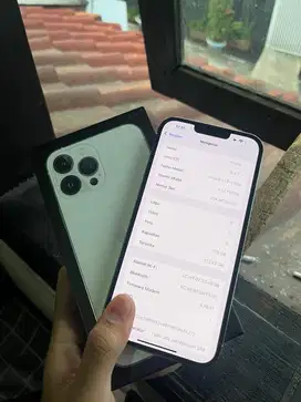 Iphone 13 pro max 128gb TERMURAH