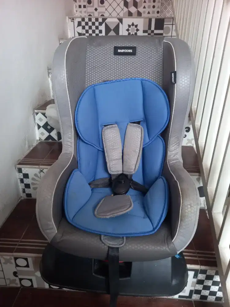 Car Seat Babydoes