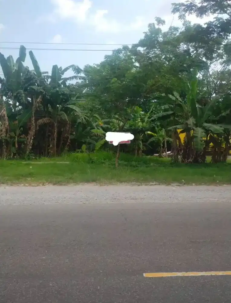 Dijual Cepat Tanah Murah di Koto Tengah Padang