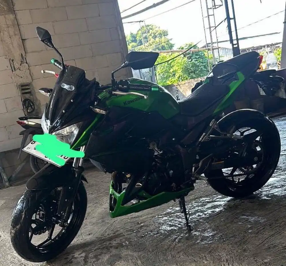 Kawasaki Z Series
