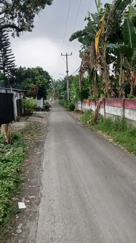 Tanah Siap Balik Nama 4 Menit Gerbang Tol Ciawi Free SHM