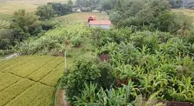 Leasehold - Exclusive Land in Yeh Gangga, Tabanan, Bali - Close to the Beach