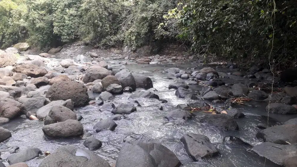 Tanah di Kelecung View Sungai 40 menit ke Canggu Bali