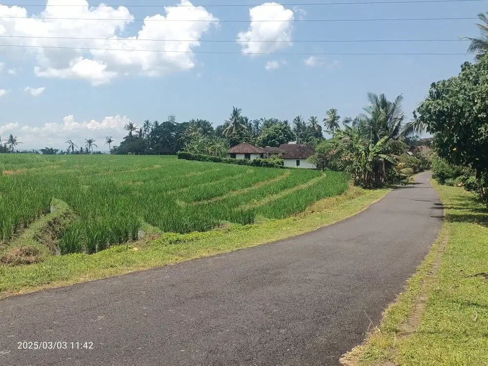 Tanah sawah dekat pantai di Tabanan Bali