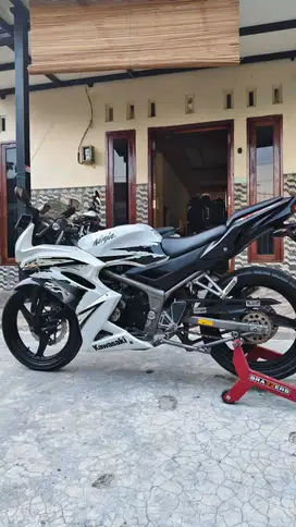 Kawasaki Ninja RR 2012 SE