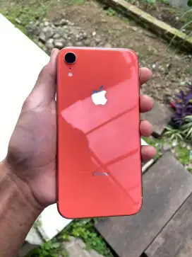 iphone xr murah second terawat