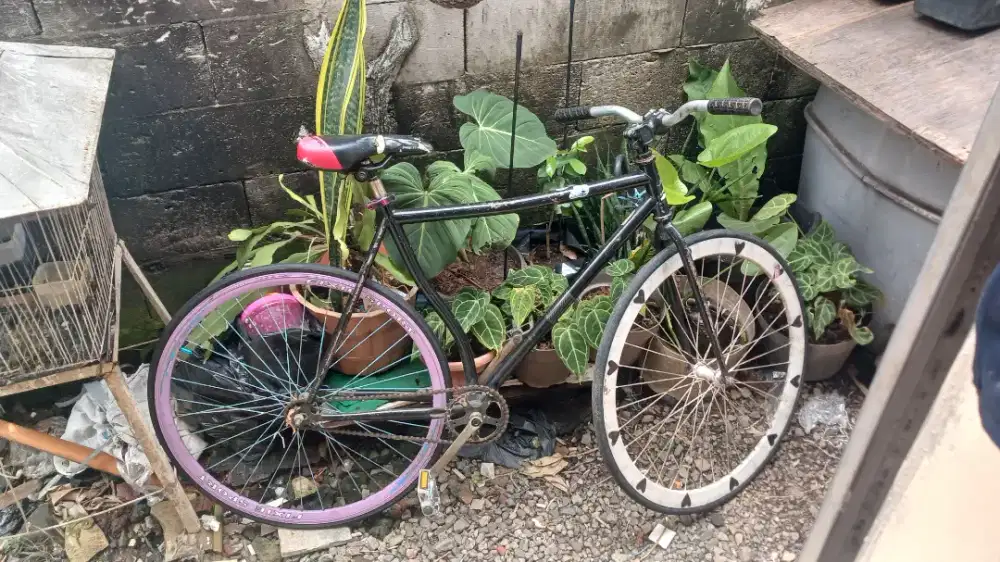 sepedah fiksi 600 nego