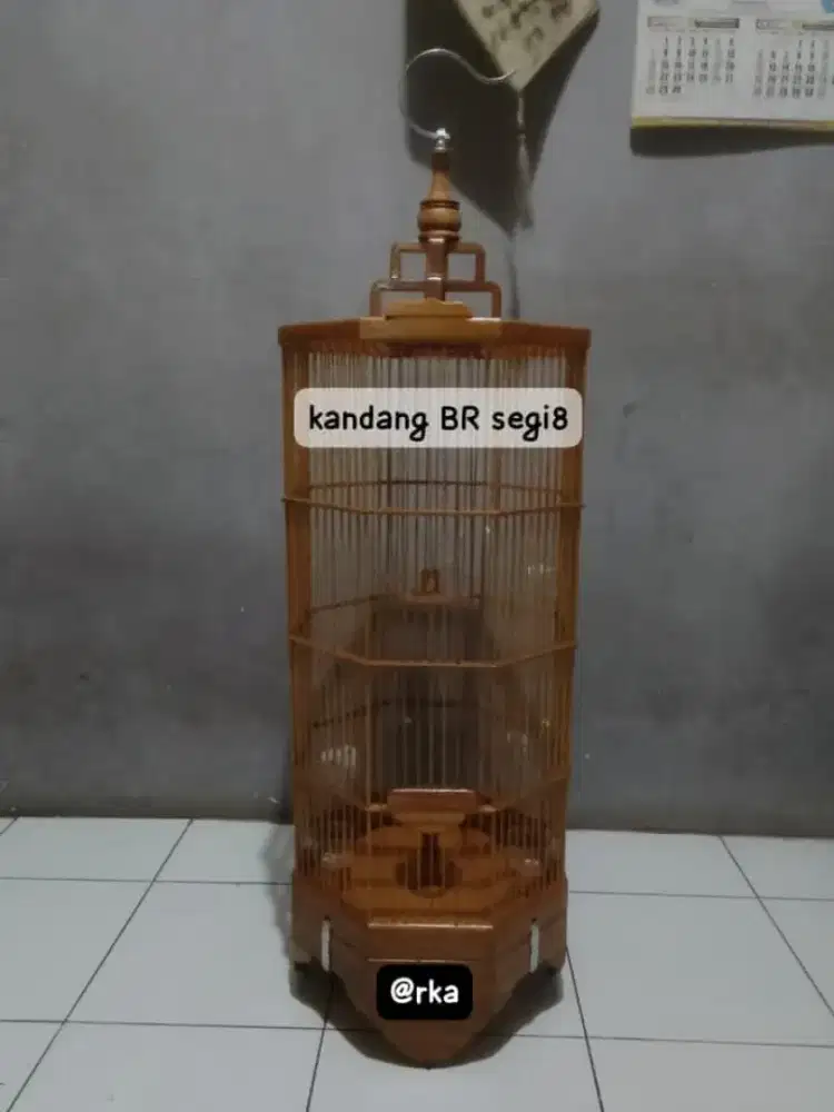 kandang branjangan segi8 plistur