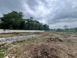 Tanah strategis Cisauk dekat BSD, cocok hunian & usaha.