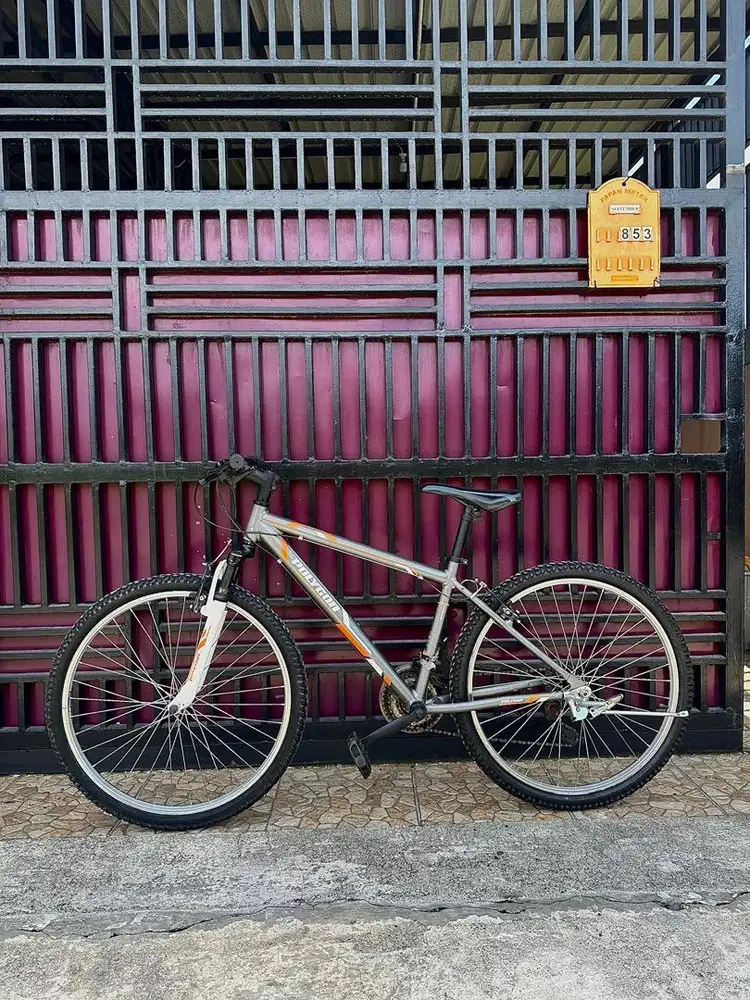 Sepeda Mtb Polygon