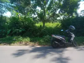 Dijual Tanah SHM