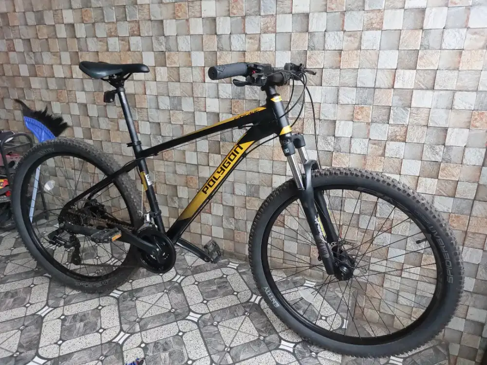 Sepeda polygon cascade 4 (2024 )