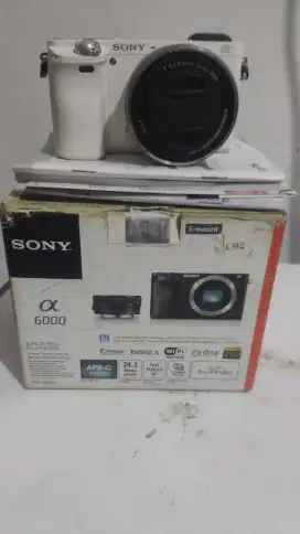 Camera Sony a6000