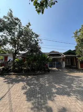 Rumah Klasik PBI Araya Blimbing Malang 264m² Murah 1,65M