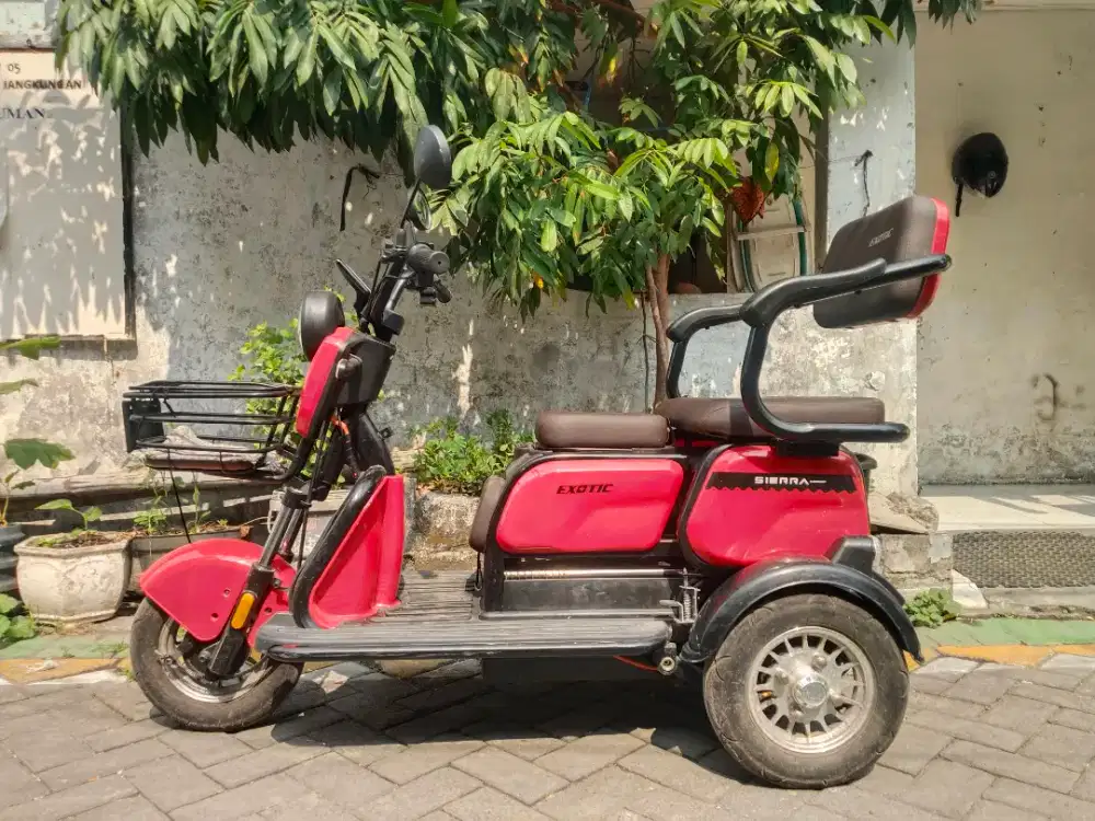 Sepeda listrik roda 3 exotic Sierra