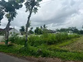 Tanah Murah Area Pandowoharjo Lokasi Dekat Pemda Sleman Dan Mall SCH