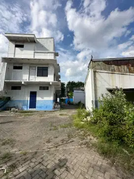 Disewakan Komersial Raya Dharmahusada 1036m² Deretan Bu Rudy 300jt/thn