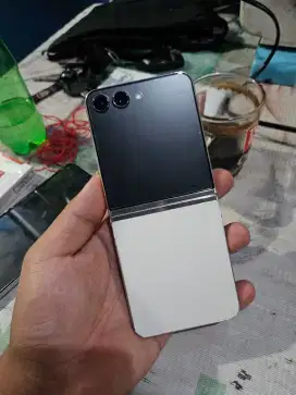 Samsung Galaxy Z Flip 5 SEIN