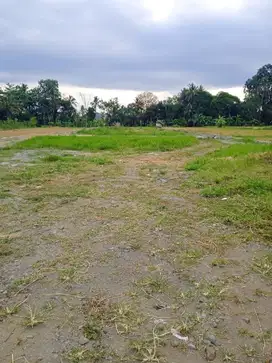 Tanah Jogja Untuk Hunian, Dekat Jogja Eco Park, Legalitas Aman