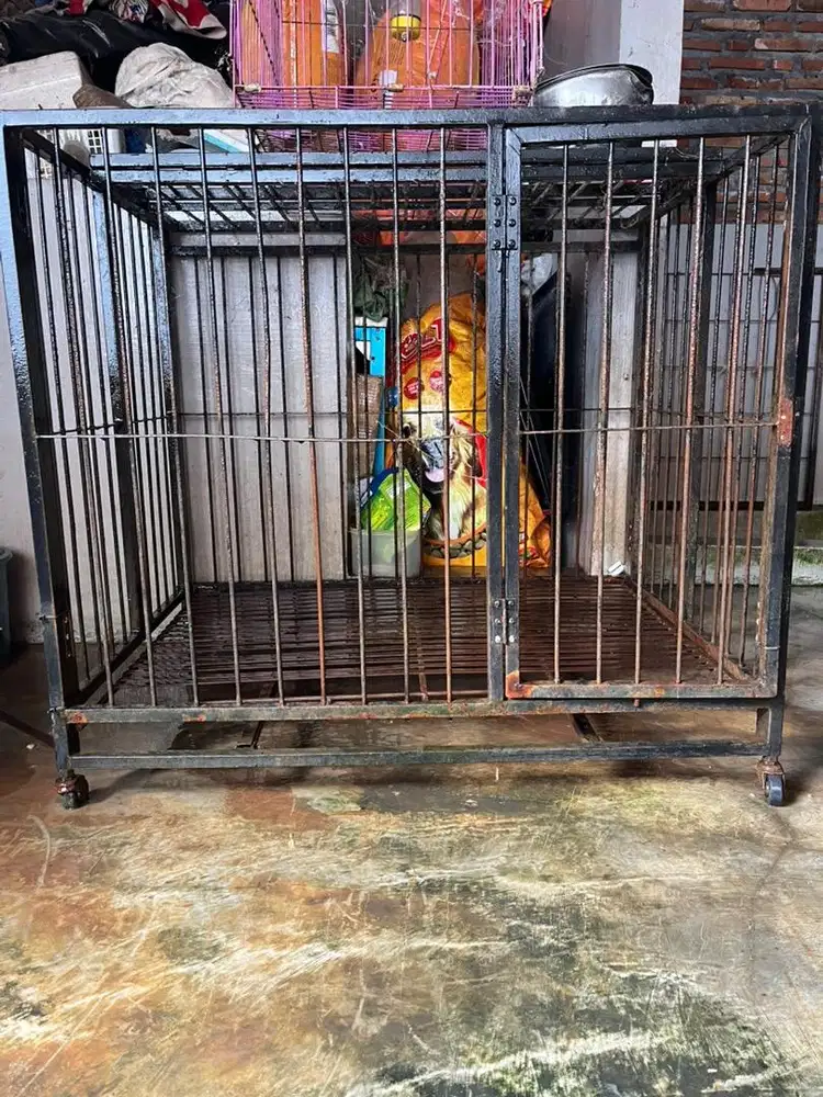 kandang anjing ras besar
