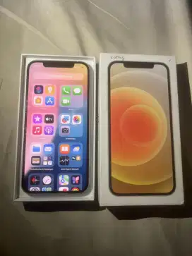 MURAHH NIH IPHONE 12 64GB MULUSS SEHARGA IPHONE 11 NORMAL SEMUA