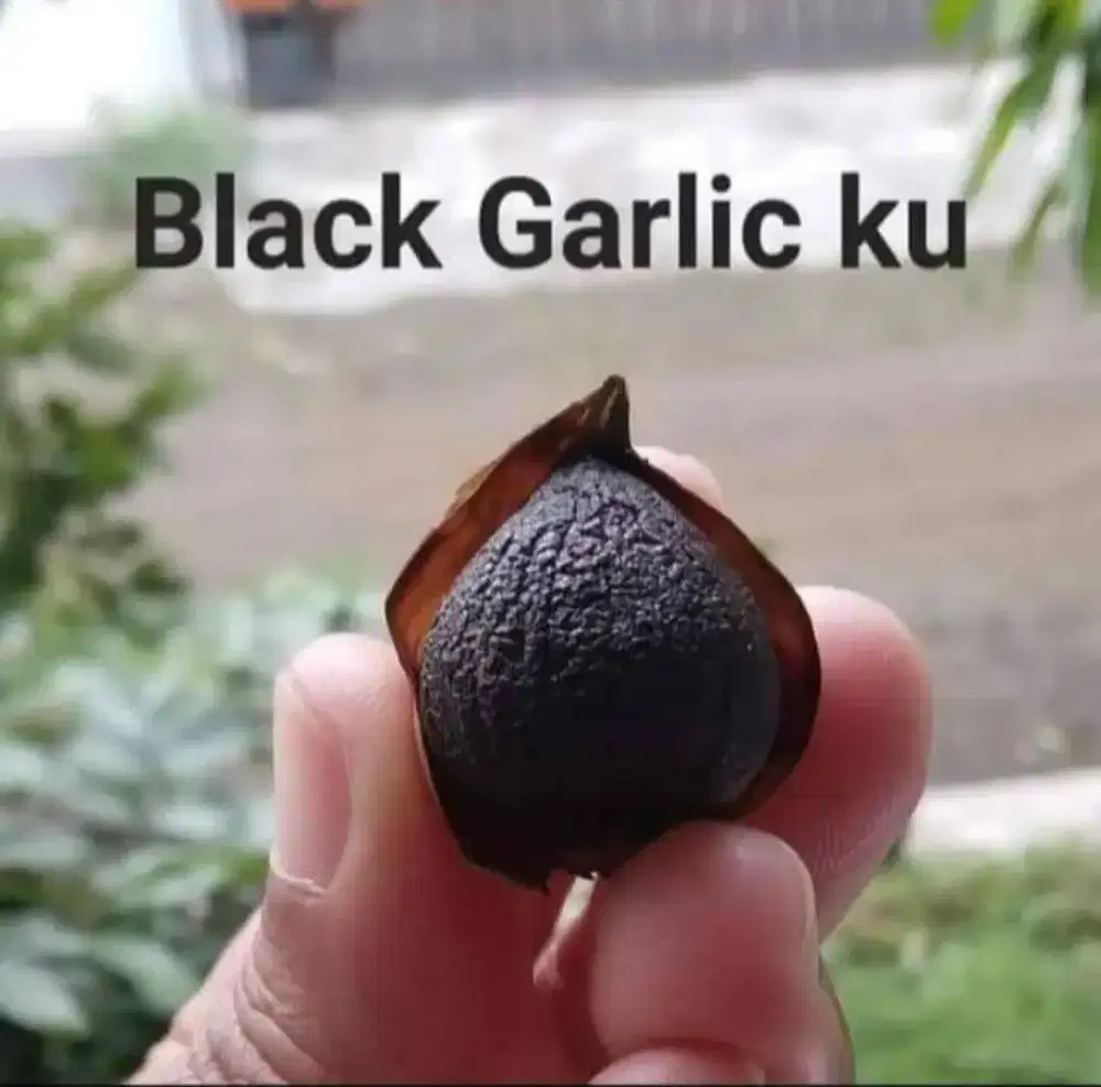 Jual Black Garlic - Bawang Hitam
