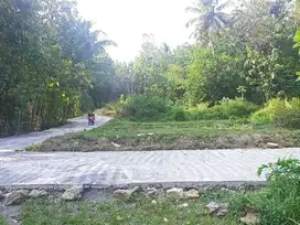Tanah Jl. Gotakan Kulon Progo Dekat UNY Wates