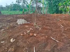 Di jual tanah SHM Jlamprang Wonosobo