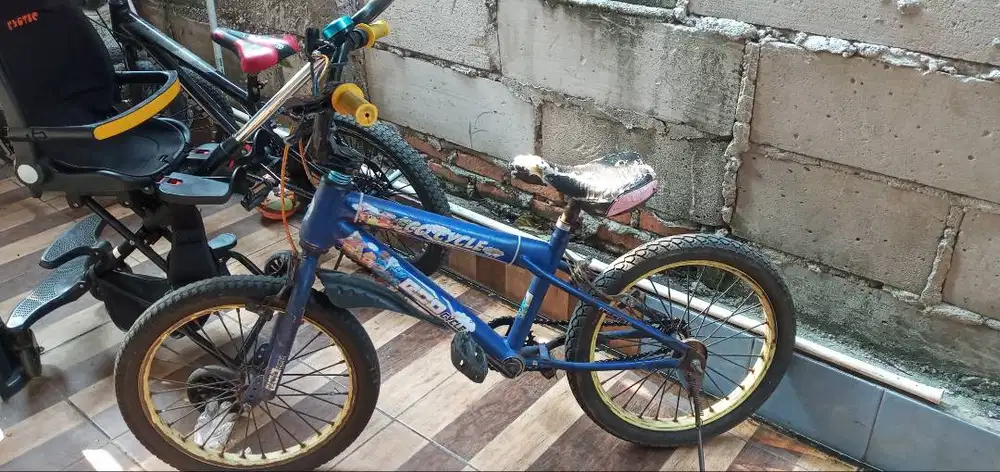 Sepeda anak 18 inch