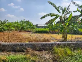 Di jual tanah pekarangan shm