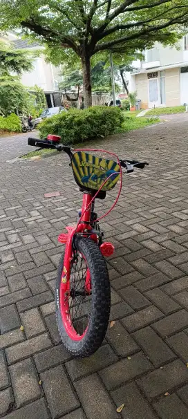 Jual sepeda anak element 18 inch nego sampe jadi