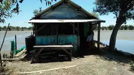 TER MURAH JUAL TANAH UNTUK DI BANGUN PERUMAHAN LOKASI BANJAR KEMUNING CEMANDI SEDATI SIDOARJO