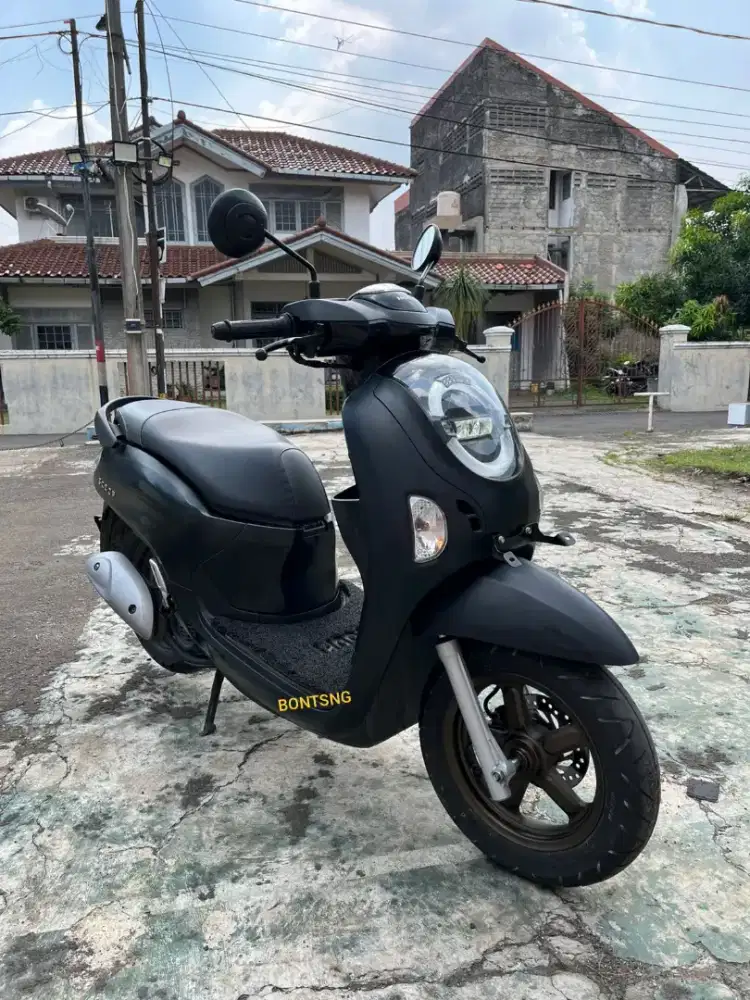 Bonda scoppy kayless thn 2025