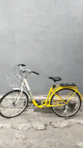 Sepeda Keranjang Polygon