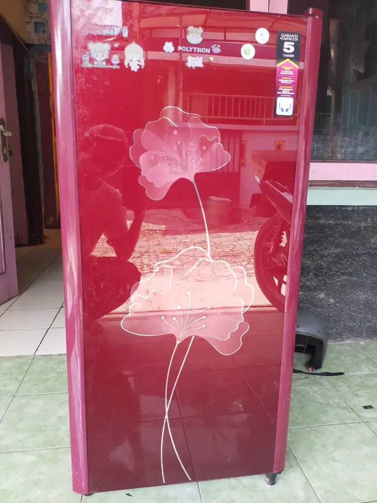 kulkas polytron satu pintu