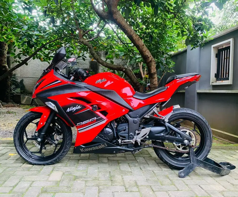 Kawasaki ninja 250 fi