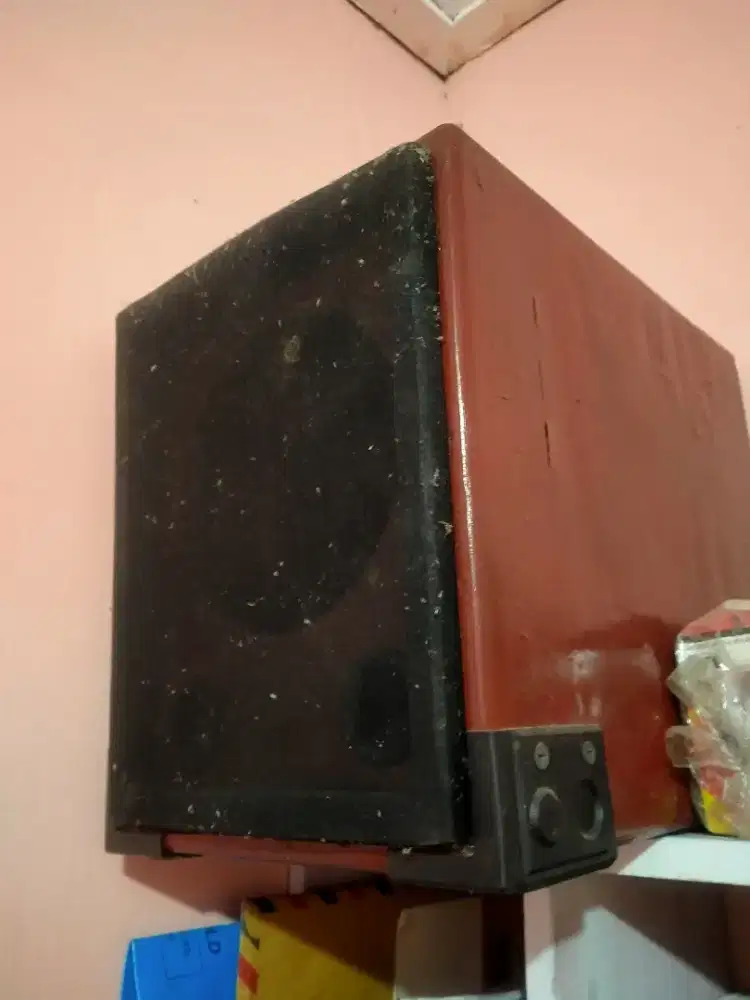 speaker woofer pasif