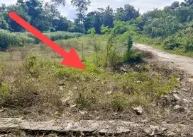 Tanah apik dekat jalan solo