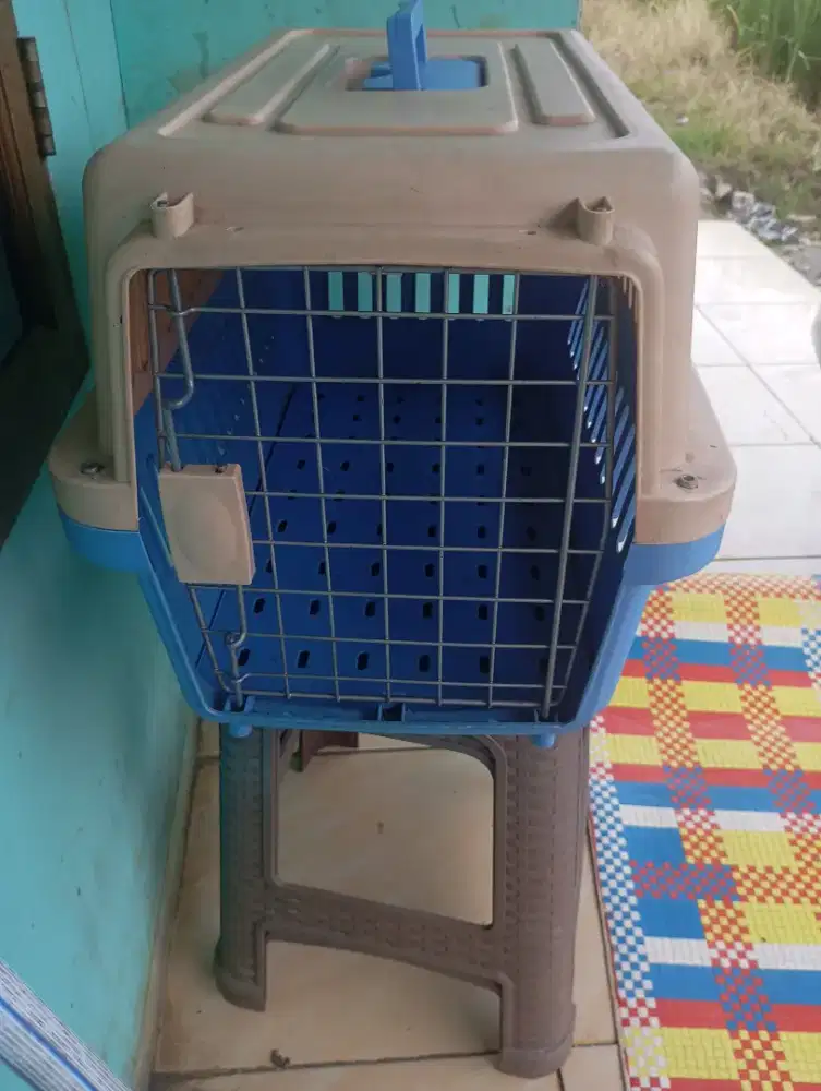 Pet cargo untuk hewan ukuran jumbo