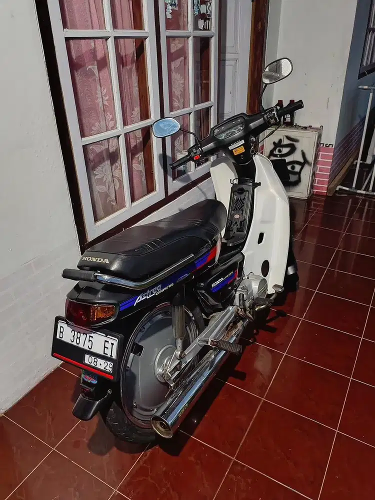 Astrea bulus 1993