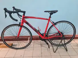 Roadbike Polygon Stratos S2 Red Special Edition