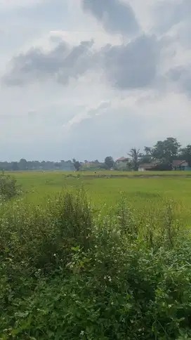 Tanah Luas 935m di Legok Tangerang