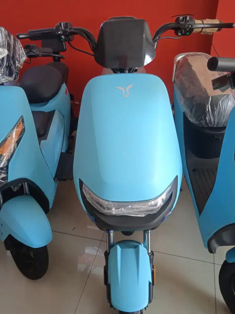 Sepeda Listrik U-winfly 2025 (M70)