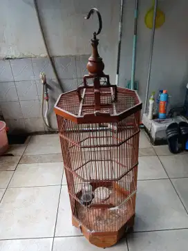 Kandang burung branjangan