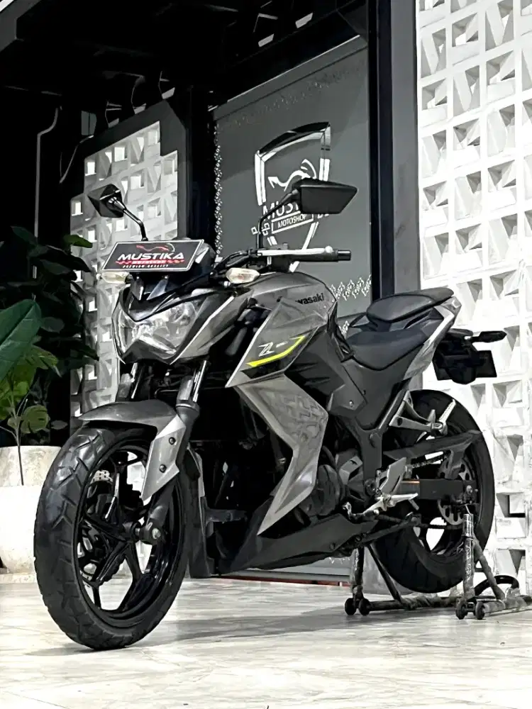 KAWASAKI Z-250 SE 2017