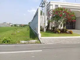 Sawah 2000 M2 Jl Imogiri Barat dikelilingi Perumahan