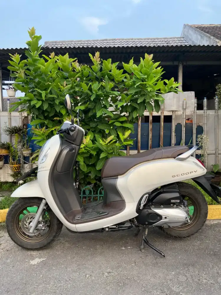 Scoopy 2024 Lengkap Hidup Panjang