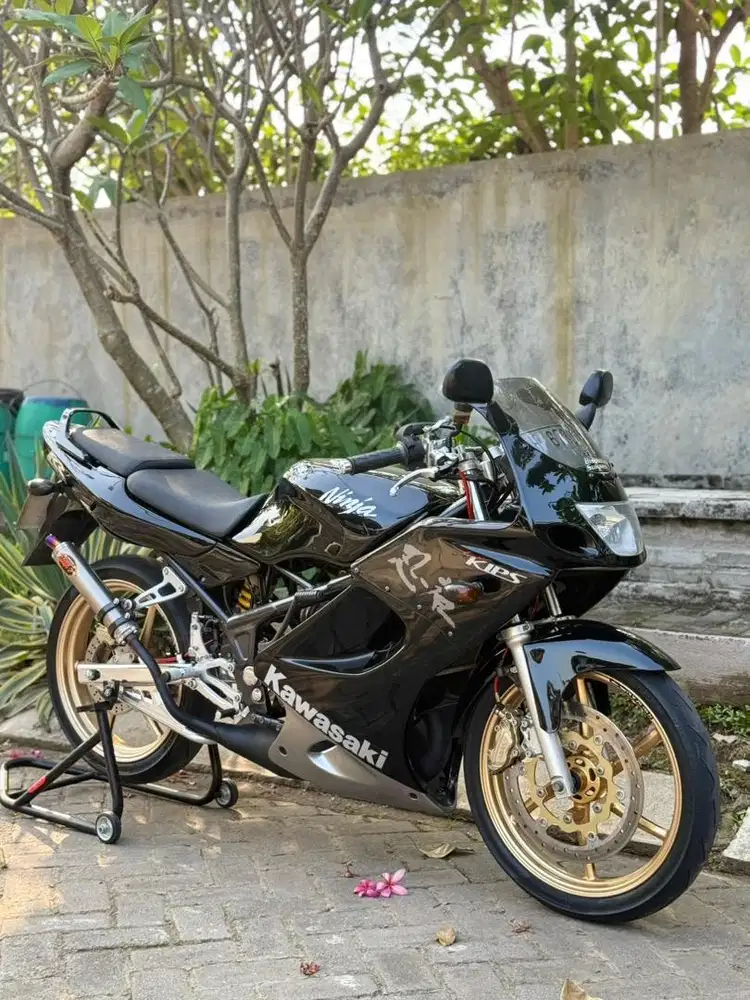 Kawasaki Ninja RR
