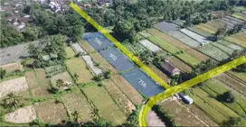 BAWAH HARGA PASAR Tanah Pemda Sleman Cocok utk Villa Resto Hunian