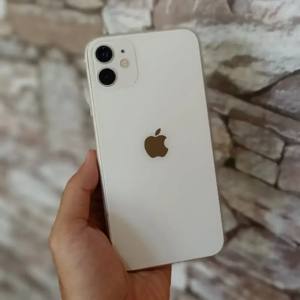 iPhone 11 inter